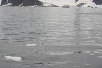 
DSC00080